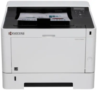 Принтер лазерный Kyocera Ecosys P2040dn [1102RX3NL0]