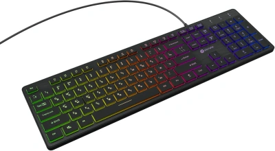 Клавиатура Oklick 550ML проводная, USB, черный [550ML]