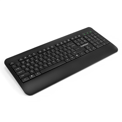 Клавиатура ExeGate Professional Standard LY-E5500M проводная, USB, черный [EX296922RUS]