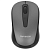 Мышь беспроводная Гарнизон GMW-450-1 серый, 1000 dpi, радиоканал, USB, кнопки - 3 [18837]