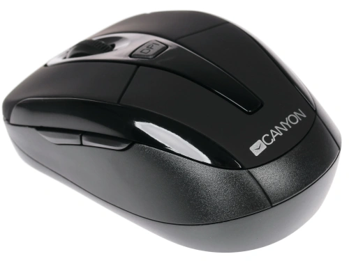 Мышь беспроводная Canyon MSO-W6 черный, 1600 dpi, радиоканал, USB, кнопки - 6 [CNR-MSOW06B]