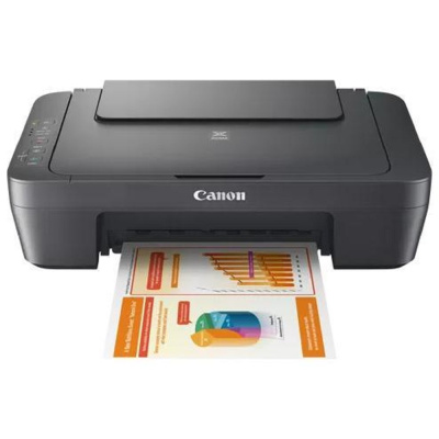 МФУ струйное Canon PIXMA MG2541s [0727C067]