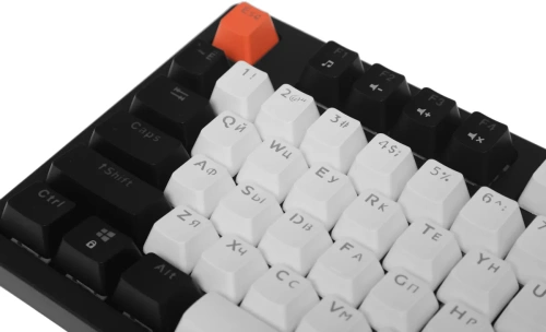 Клавиатура Defender Hawk GK-418 проводная, USB, черный/белый [45418]