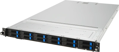 Серверная платформа ASUS RS700-E11-RS12U [90SF01U1-M004E0]