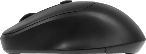 Мышь беспроводная Defender Feam MM-296 черный, 1600 dpi, радиоканал, USB, кнопки - 4 [52296]