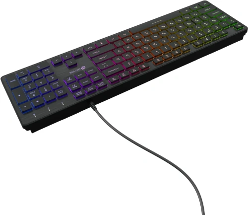 Клавиатура Oklick 550ML проводная, USB, черный [550ML]