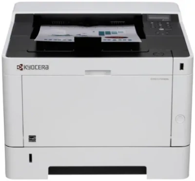 Принтер лазерный Kyocera Ecosys P2040dn [1102RX3NL0]