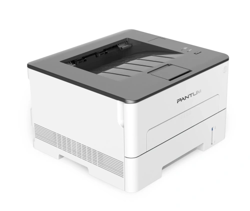 Принтер лазерный Pantum P3010DW [P3010DW]