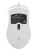 Мышь проводная Oklick 245M белый, 1000 dpi, USB, кнопки - 3 [245M белый]