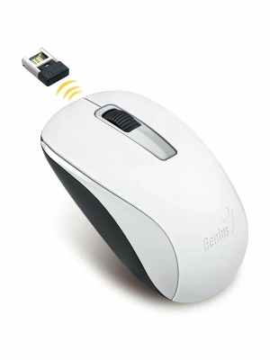 Мышь беспроводная Genius NX-7005 белый, 1200 dpi, радиоканал, USB, кнопки - 3 [31030017401]