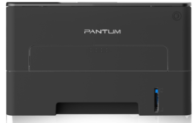 Принтер лазерный Pantum P3020D [P3020D]