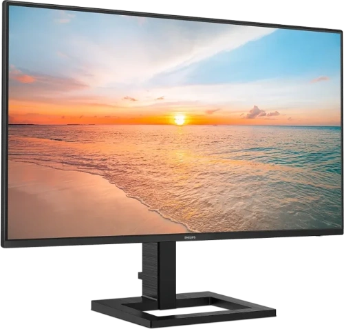 Монитор LCD 23.8'' 16:9 1920х1080(FHD) IPS, 100 Hz [24E1N1300AE (00/01)]