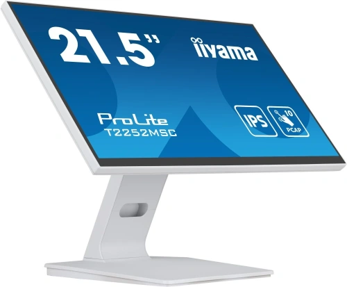 Монитор Iiyama ProLite T2252MSC-W2, белый, 21.5" [T2252MSC-W2]