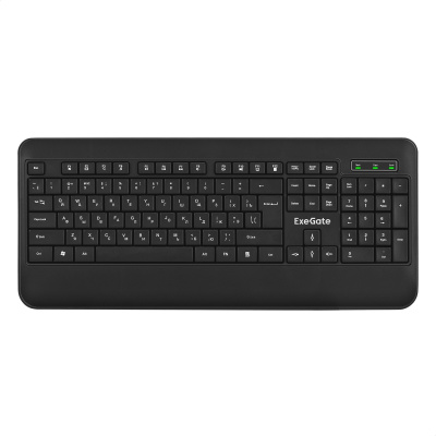 Клавиатура ExeGate Professional Standard LY-E5500M проводная, USB, черный [EX296922RUS]